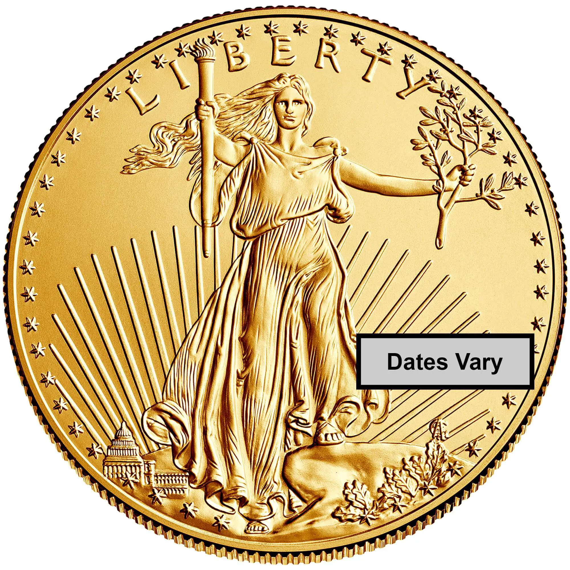 1 oz American Gold Eagle Coin (BU, Dates Vary)