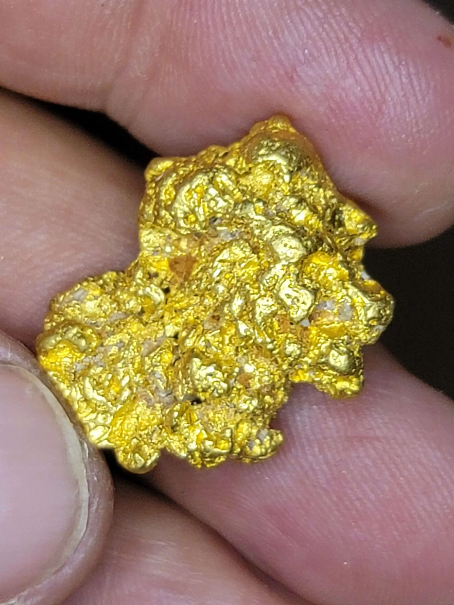 15.72 gram very coarse Idaho Gold nugget