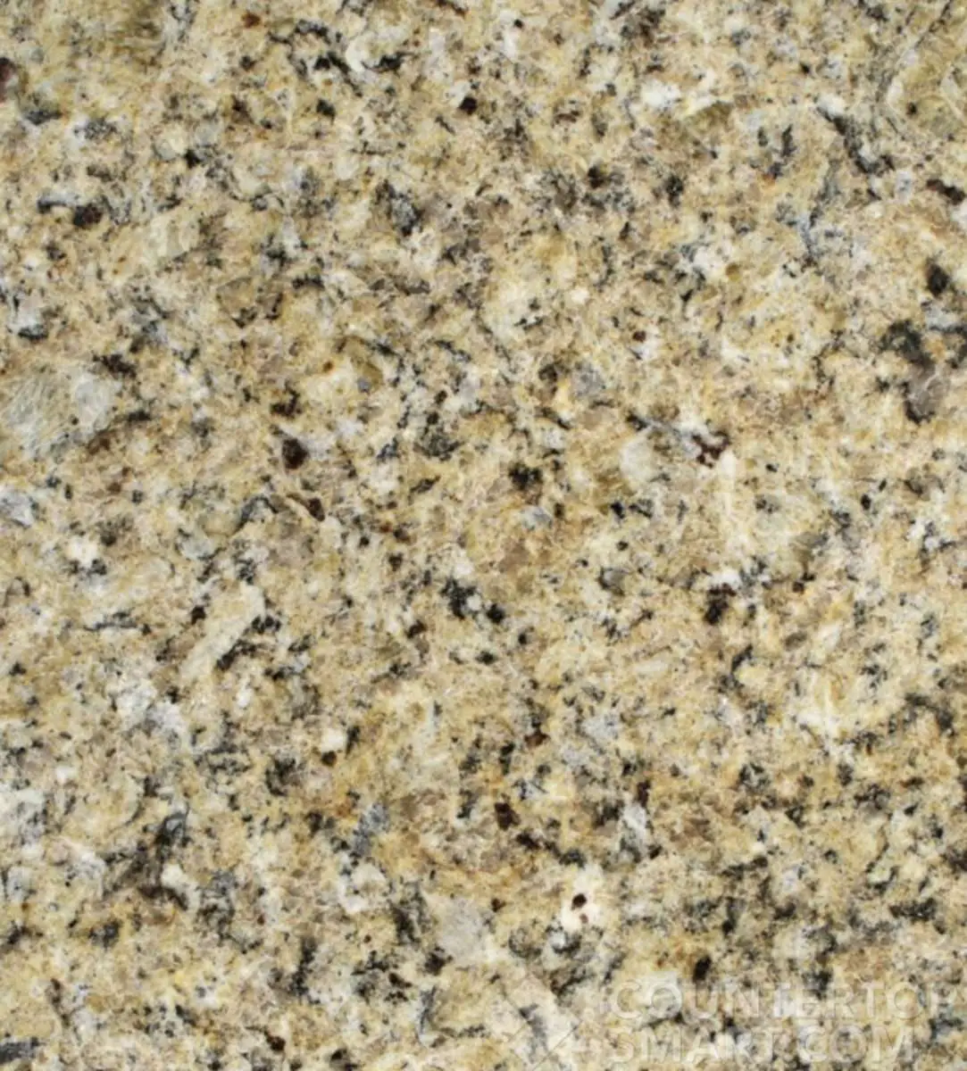 73% off your perfect Granite New Venetian Gold countertop ...
