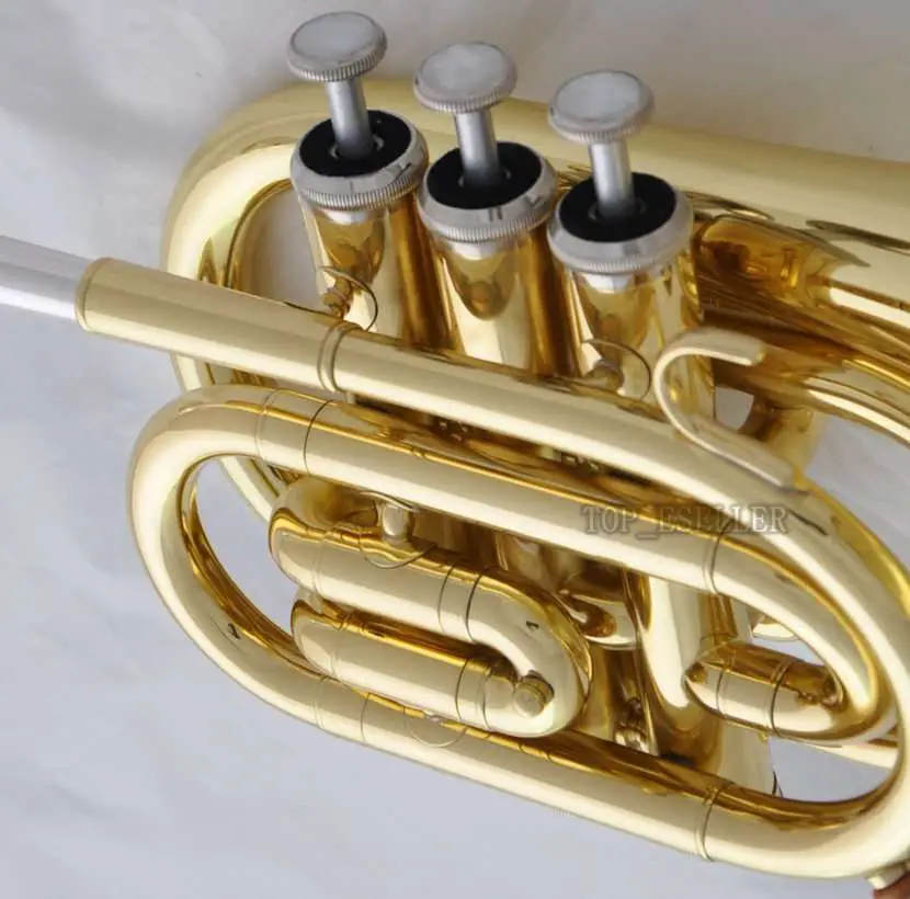 AAA Quality Gold Lacquer Pocket Trumpet Cornet Large bell ...