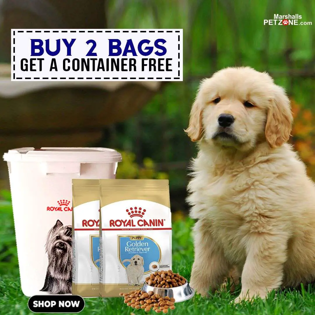 An Offer too good to miss! FREE CONTAINER