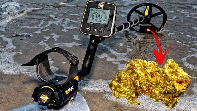 Can A Metal Detector Detect Gold? Some can but not all