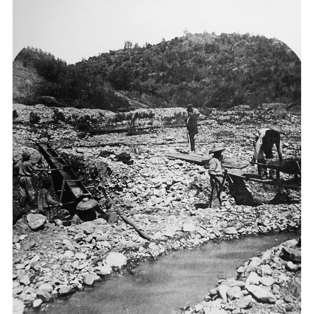 Chinese Prospectors, C1851. /Nchinese Immigrants Working At Placer ...