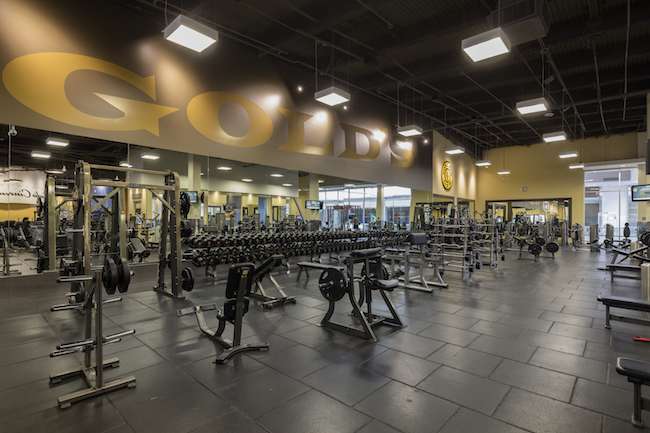 Discover a New Gym Member Experience at Gold