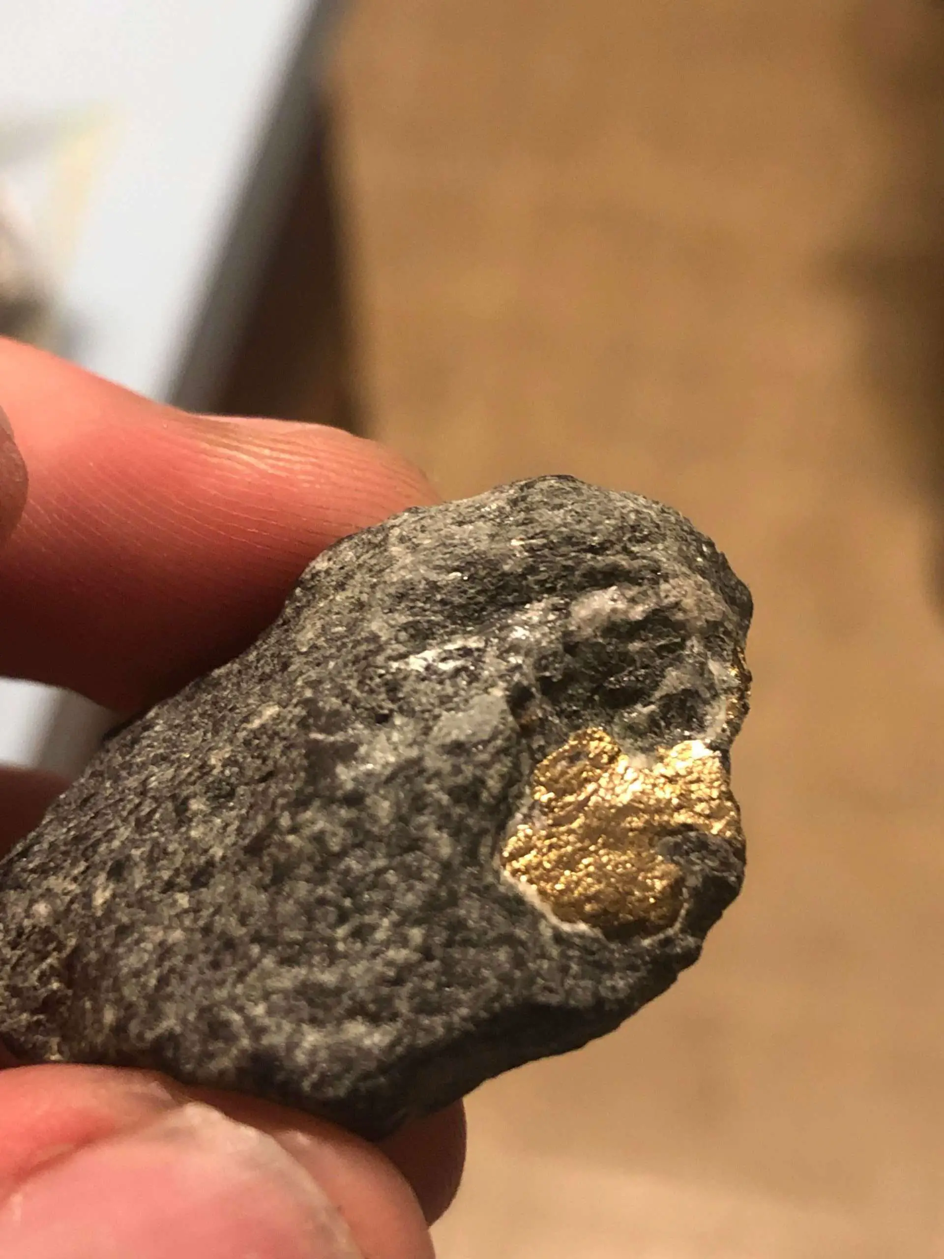 Is this gold or pyrite? I found it by quartz but lemme ...