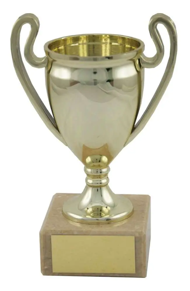 myamazeblog: Gold Cup : Reusable Gold Party Cup