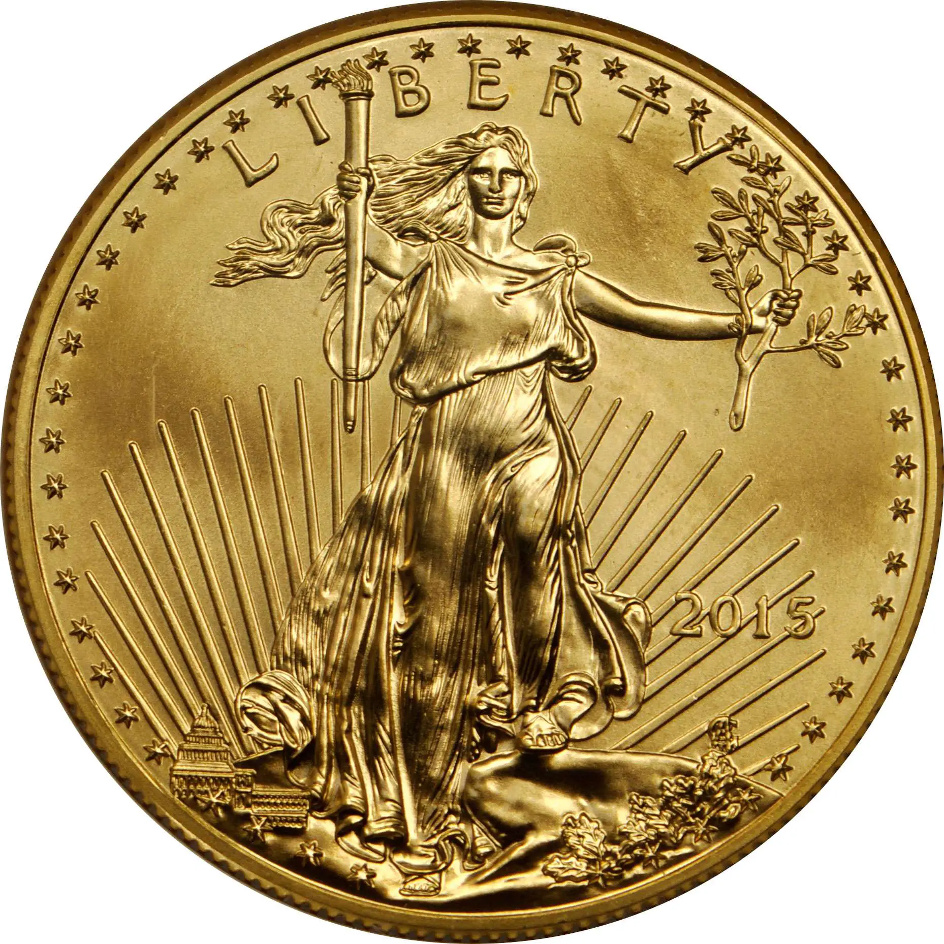 Value of 2015 $10 Gold Coin