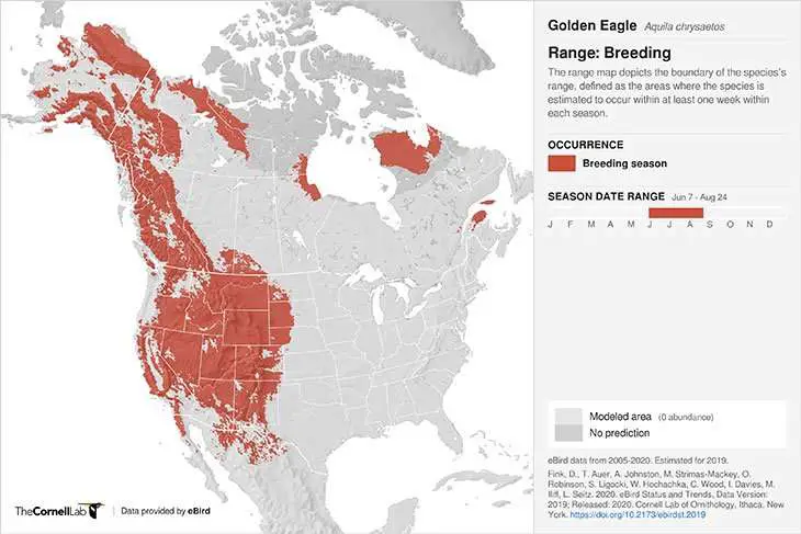 Where Do Golden Eagles Live?