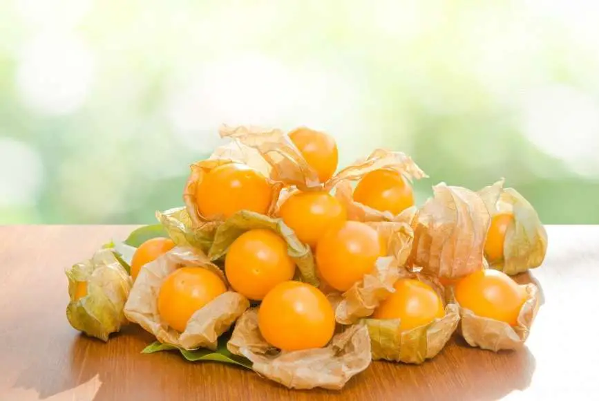 Why You Should Make Eating Golden Berries Part Of Your ...